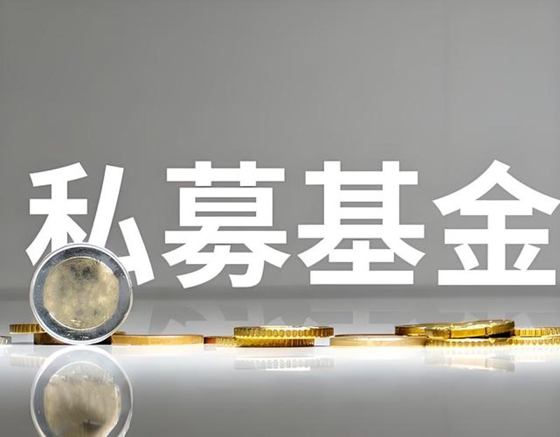 项目投资现状与未来展望